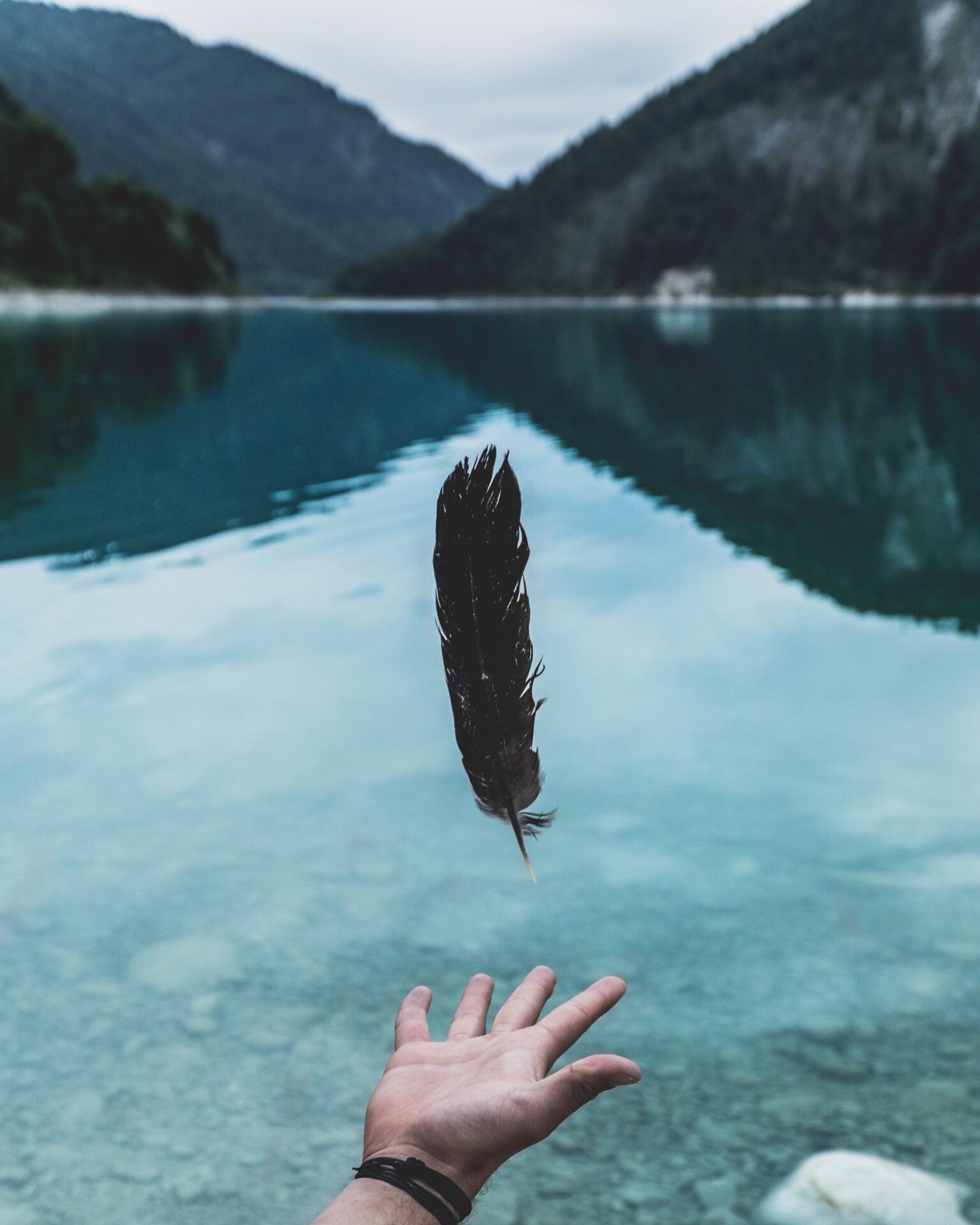 person attempting to grab feather floating beside water
